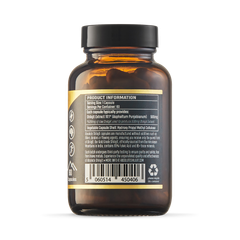 Image 2 for Absolute  Shilajit Capsules 60 Capsules