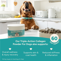 Image 4 for Collagen for Dogs 150 g
