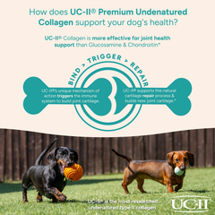 Image 5 for Collagen for Dogs 150 g