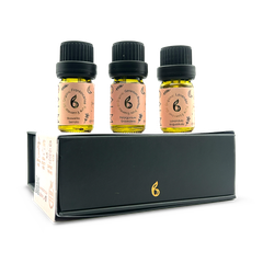 Image 2 for Sleep & Balance Essential Oil Set – Geranium, Lavender & Frankincense 5ml x3 – Rest Calm