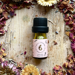 Image 2 for Lavender Essential Oil 10ml – Organic