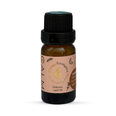 Image 1 for Eucalyptus Essential Oil 10ml – Organic