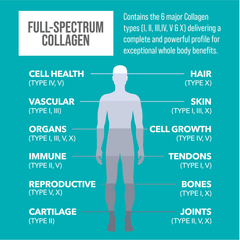 Image 5 for Collagen Powder with Vitamin C 588g