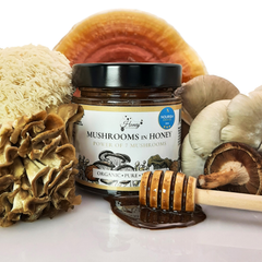 Image 3 for Organic Mushrooms in Honey 300g Lion's Mane, Reishi