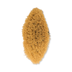 Image 3 for 100% Cactus Bristle Vegan Dry Body Brush - Magnolia