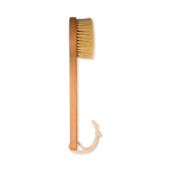 Image 2 for 100% Cactus Bristle Vegan Dry Body Brush - Long