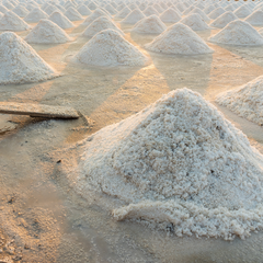 Image 3 for Celtic Sea Salt Coarse 600g