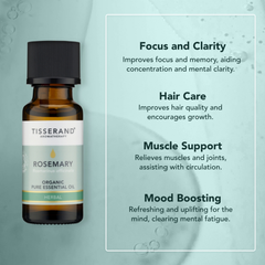 Image 4 for Rosemary Organic Essential Oil