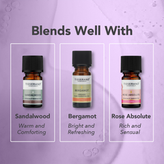 Image 4 for Clary Sage Essential Oil