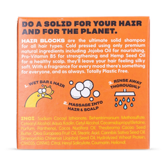 Image 2 for Solid Shampoo - Ginger & Agave Nectar