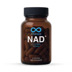 Image 3 for NAD+500 (Liposomal)