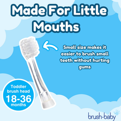 Image 4 for BabySonic 18-36 month Replacement Brush Heads 4 pack