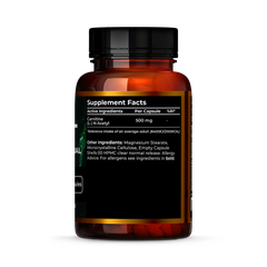 Image 2 for Acetyl L-Carnitine