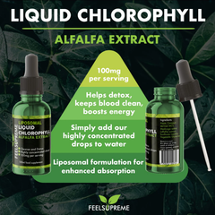 Image 2 for Liposomal Liquid Chlorophyll Drops 100ml
