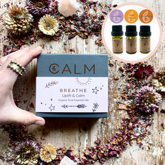 Image 5 for Aroma Diffuser with Stress Relief Essential Oil Set ‚ Orange, Lavender & Frankincense 5ml x3‚ Breathe Calm