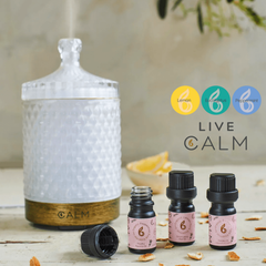 Image 2 for Aroma Diffuser with Energy & Immunity Essential Oil Set‚ Eucalyptus, Lemon & Peppermint 5ml x3‚ Live Calm