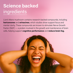 Image 4 for Vitality Mushroom Superblend
