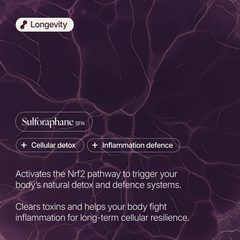 Image 3 for Sulforaphane 40mg - Longevity Cellular Detox Support - 30 Servings