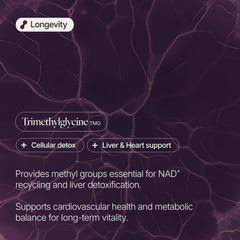Image 3 for TMG (Trimethylglycine) 1500mg - Longevity & Cardiovascular Support - 30 Servings