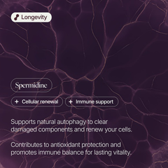 Image 3 for Spermidine 18mg - Longevity & Cellular Renewal - 30 Servings