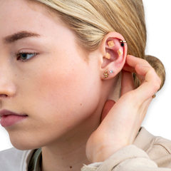 Image 2 for Ear Seed Kit for Digestion - 60 Natural Ear Seeds