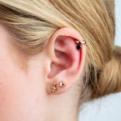 Image 2 for Ear Seed Kit for Weight Loss - 20 Silver Plated Ear Seeds