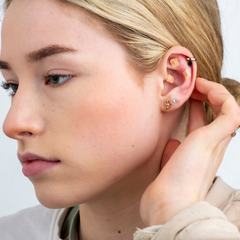 Image 2 for Ear Seed Kit for Women 40+ - 20 Crystal and 60 Natural Ear Seeds
