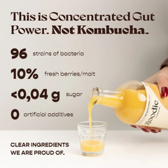 Image 2 for GOODIE - Fermented SEA BUCKTHORN Drink 500ml