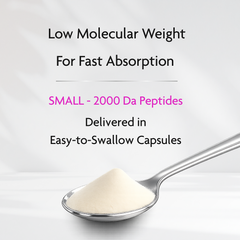 Image 2 for Vitamini Hydrolysed Marine Collagen with Vitamin C & Hyaluronic Acid 90 Capsules