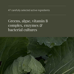 Image 4 for Organic Nature's Living Superfood Powder - 20g