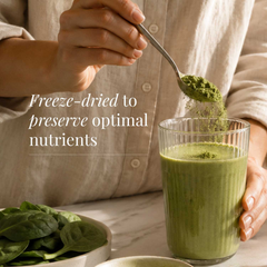Image 5 for Organic Wheatgrass Powder - 100g