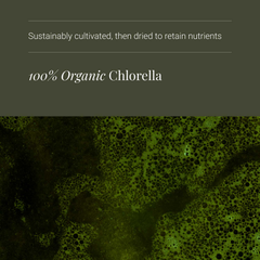 Image 4 for Organic Chlorella Powder - 200g