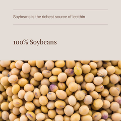 Image 4 for Non-GMO Lecithin Powder - 200g