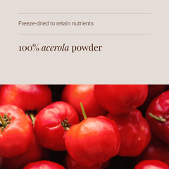 Image 4 for Oragnic Acerola Powder - 100g