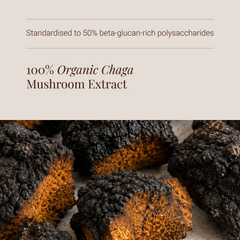 Image 4 for Organic Chaga Mushroom Extract - 60 Vegicaps