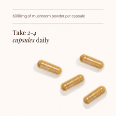 Image 3 for Organic Cordyceps Mushroom Extract - 60 Vegicaps