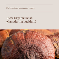 Image 4 for Organic Reishi Mushroom Extract - 60 Vegicaps