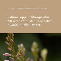 Image 4 for Liquid Chlorophyll - 250ml
