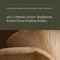 Image 4 for Organic Oyster Mushroom Extract - 60 Vegicaps
