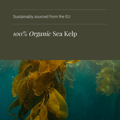 Image 4 for Organic Sea Kelp - 90 Vegicaps