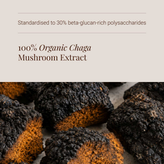 Image 4 for Organic Chaga Mushroom Extract Powder - 50g