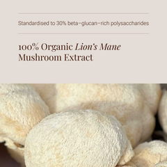 Image 4 for Organic Lion's Mane Mushroom Extract Powder - 50g