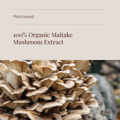 Image 4 for Organic Maitake Mushroom Extract Powder - 50g
