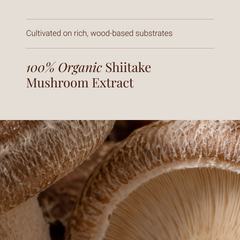 Image 4 for Organic Shiitake Mushroom Extract Powder - 50g