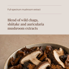 Image 4 for Organic Mushroom Extract Cacao Powder - 105g