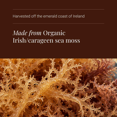 Image 4 for Organic Irish Sea Moss - 90 Vegicaps
