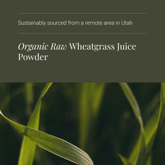 Image 4 for Organic Wheatgrass Juice Powder - 100g