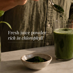 Image 5 for Organic Wheatgrass Juice Powder - 100g