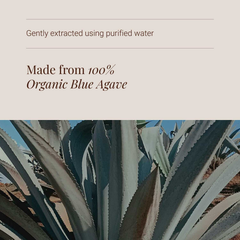 Image 4 for Organic Blue Agave Inulin Powder - 250g