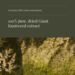 Image 4 for Resveratrol - 60 Vegicaps